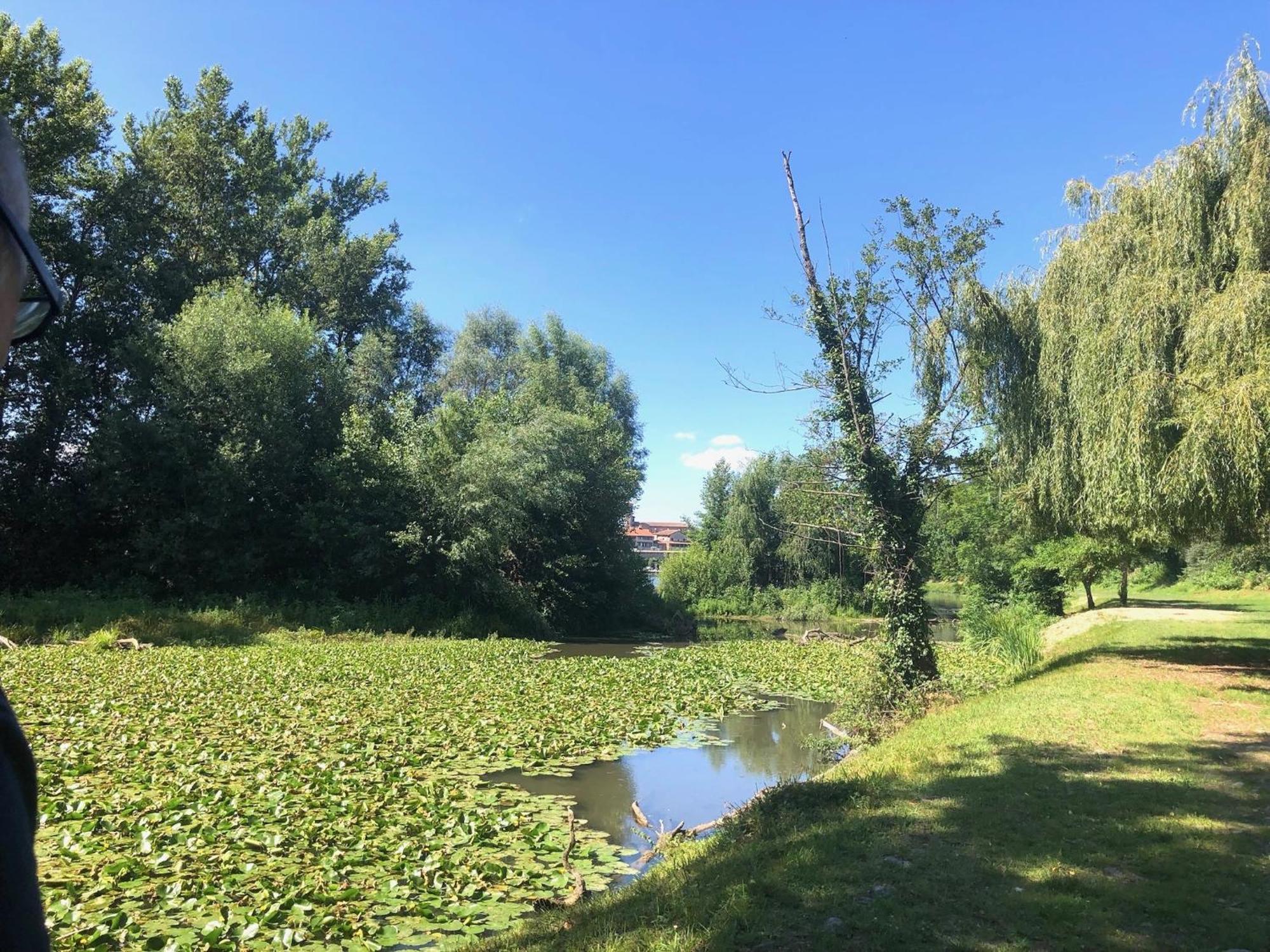 Beautiful Village House Next To Garonne River! Couladere Exterior foto