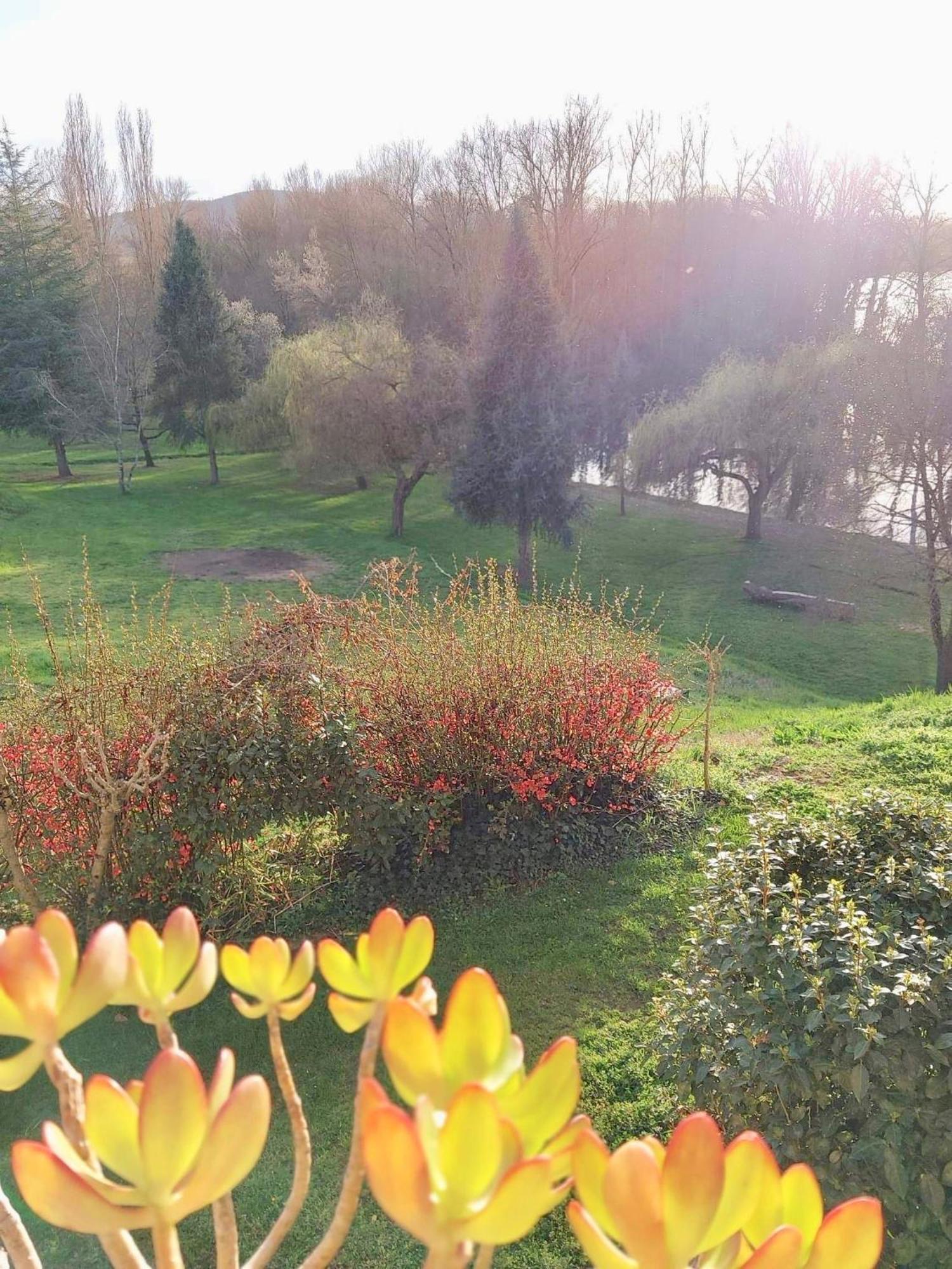 Beautiful Village House Next To Garonne River! Couladere Exterior foto